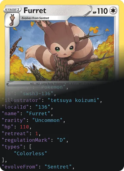 Furret card mixed with it's JSON representation