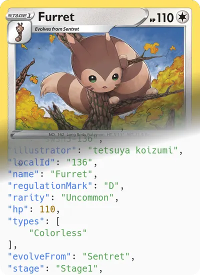 Furret card mixed with it's JSON representation